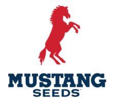 Mustang Seeds